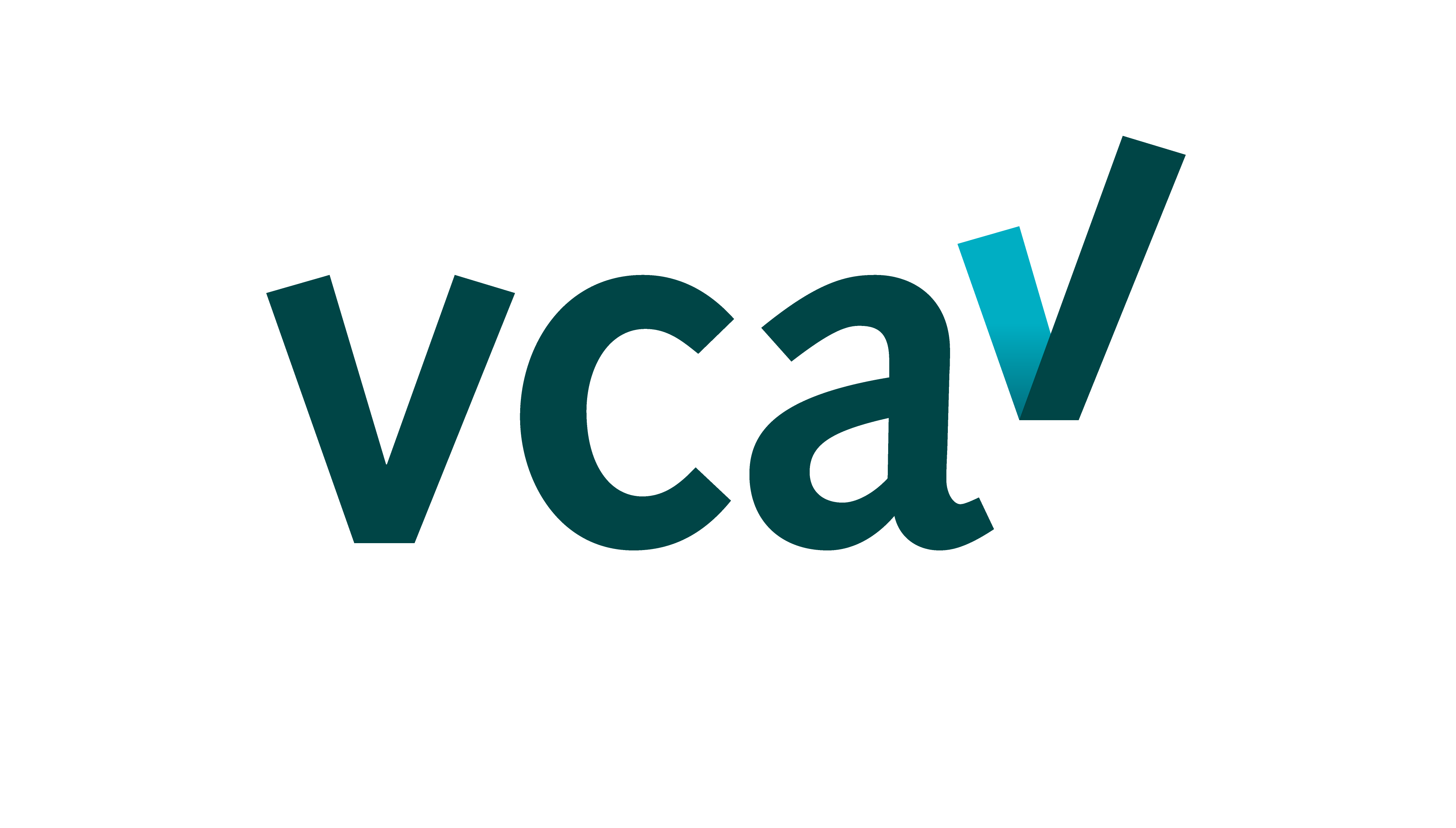 VCA 2017/6.0 Logo
